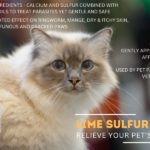 Lime Sulfur Pet Skin Cream